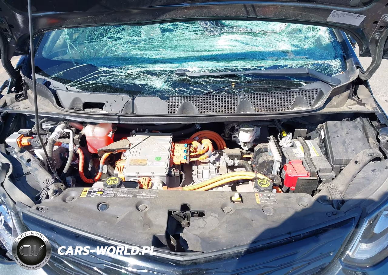 2020 Chevrolet Bolt Ev Fwd Premier VIN:1G1FZ6S00L4141253 - 10