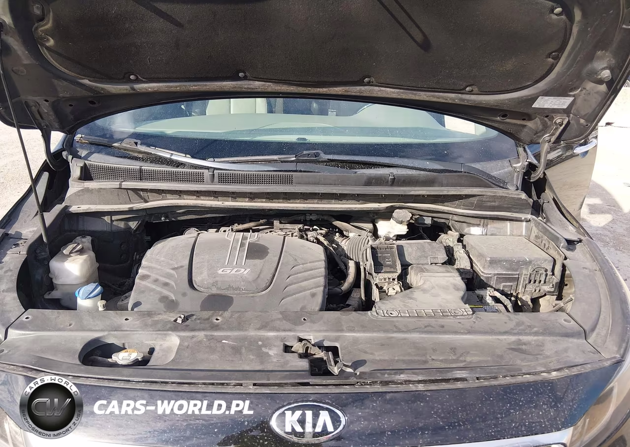 2016 Kia Sedona Sx Luxury VIN:KNDME5C19G6172281 - 10