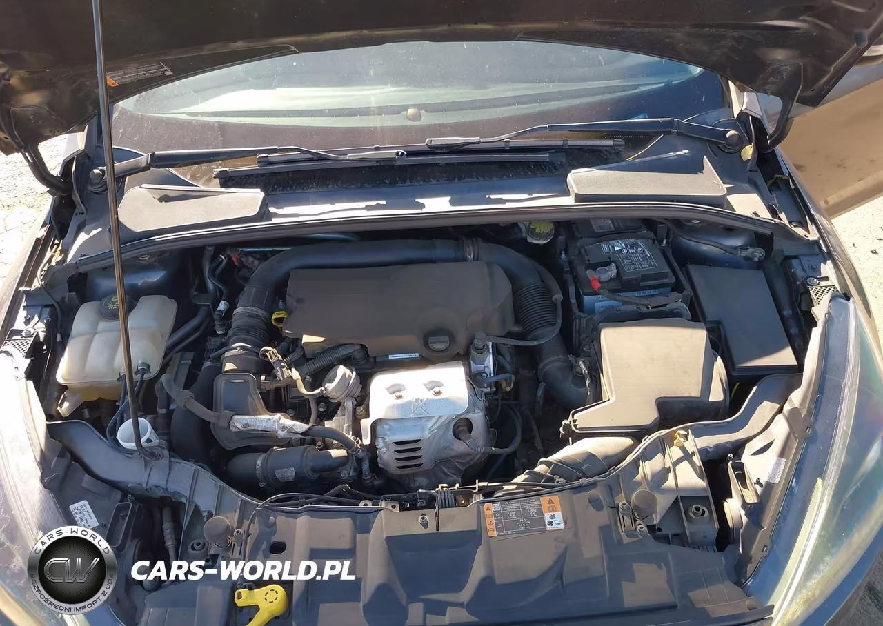 2016 Ford Focus Se VIN:1FADP3FE2GL257807 - 10