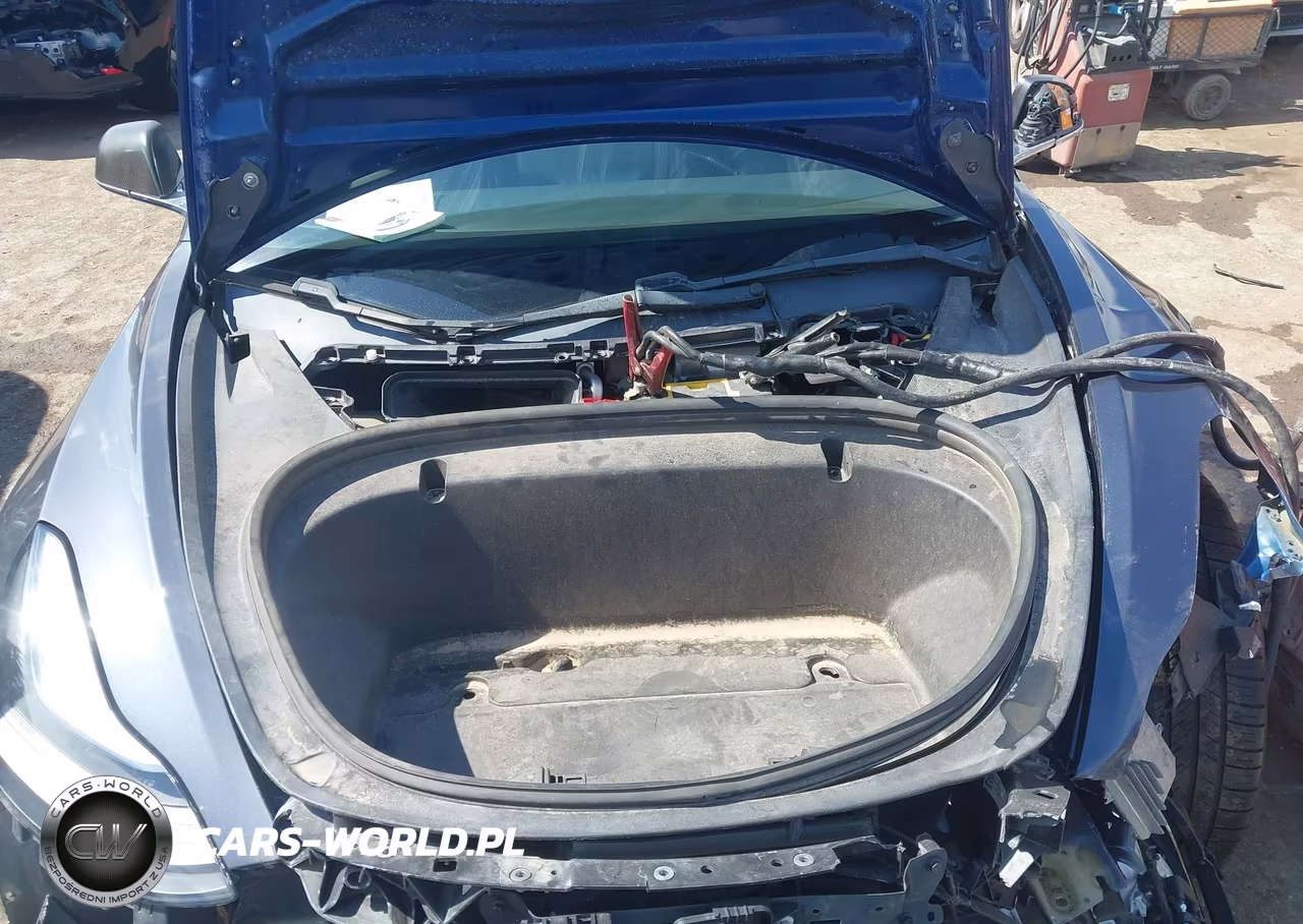 2019 Tesla Model 3 Long Range-Mid Range-Standard Range-Standard Range Plus VIN:5YJ3E1EA8KF190270 - 10