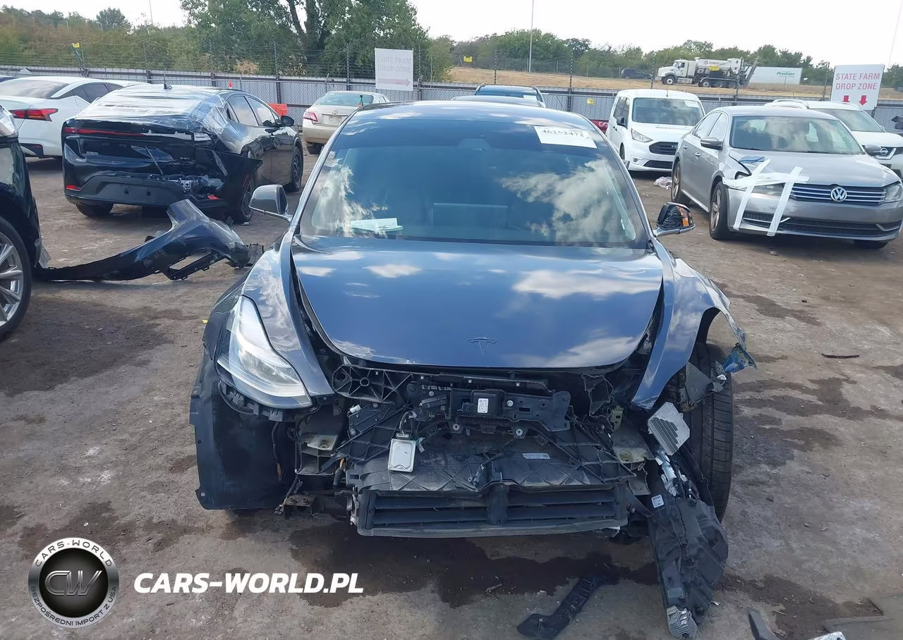 2019 Tesla Model 3 Long Range-Mid Range-Standard Range-Standard Range Plus VIN:5YJ3E1EA8KF190270 - 12