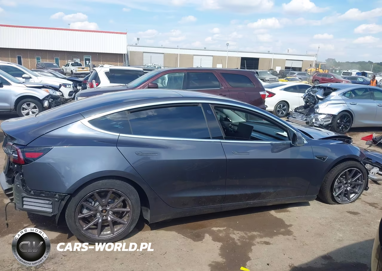 2019 Tesla Model 3 Long Range-Mid Range-Standard Range-Standard Range Plus VIN:5YJ3E1EA8KF190270 - 13