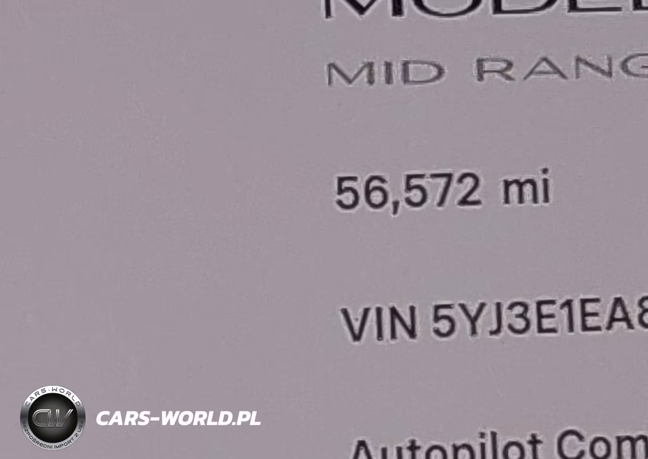 2019 Tesla Model 3 Long Range-Mid Range-Standard Range-Standard Range Plus VIN:5YJ3E1EA8KF190270 - 15
