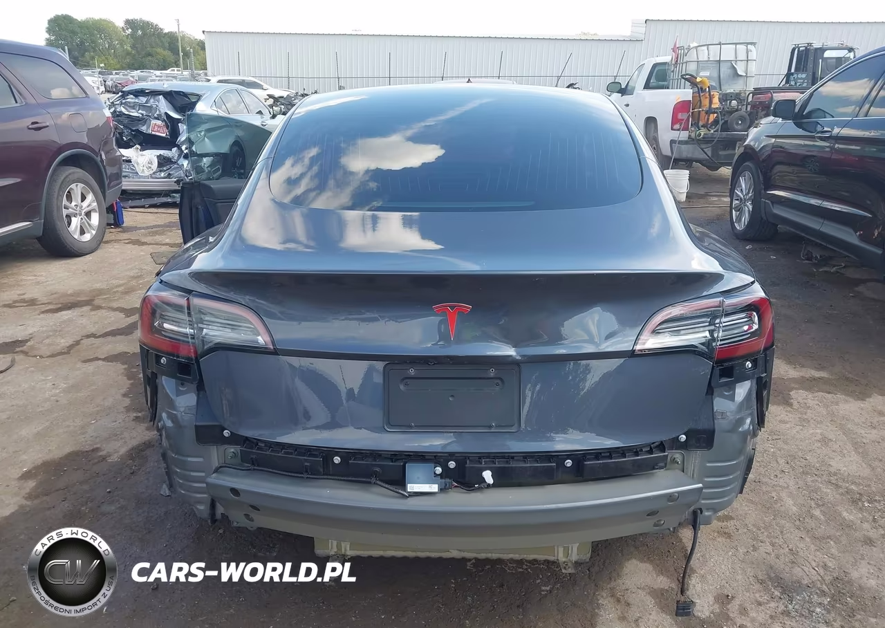 2019 Tesla Model 3 Long Range-Mid Range-Standard Range-Standard Range Plus VIN:5YJ3E1EA8KF190270 - 16