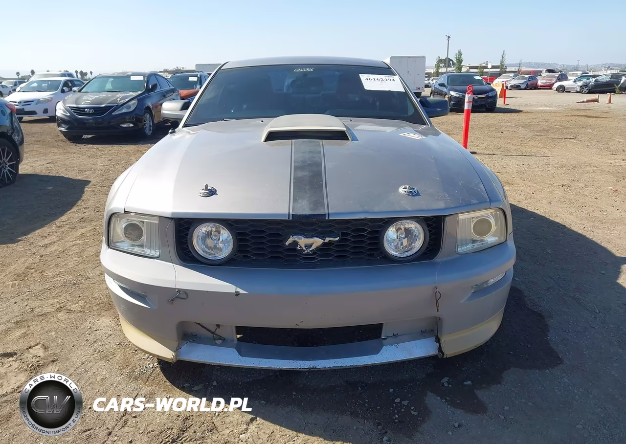 2008 Ford Mustang Gt Deluxe-Gt Premium VIN:1ZVHT82H385154709 - 12