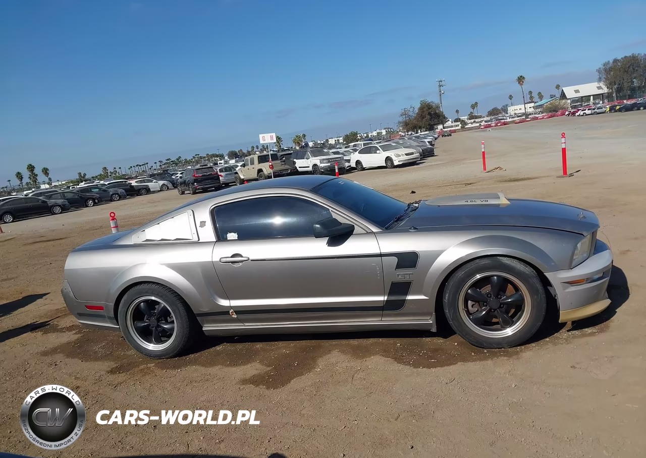 2008 Ford Mustang Gt Deluxe-Gt Premium VIN:1ZVHT82H385154709 - 13