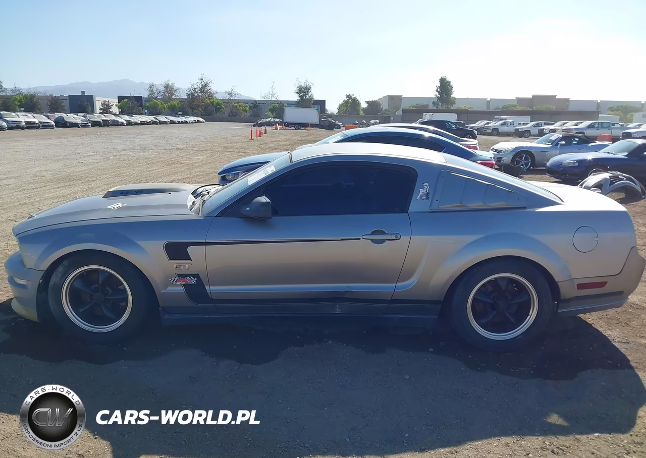 2008 Ford Mustang Gt Deluxe-Gt Premium VIN:1ZVHT82H385154709 - 14