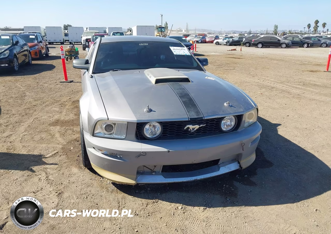 2008 Ford Mustang Gt Deluxe-Gt Premium VIN:1ZVHT82H385154709 - 6