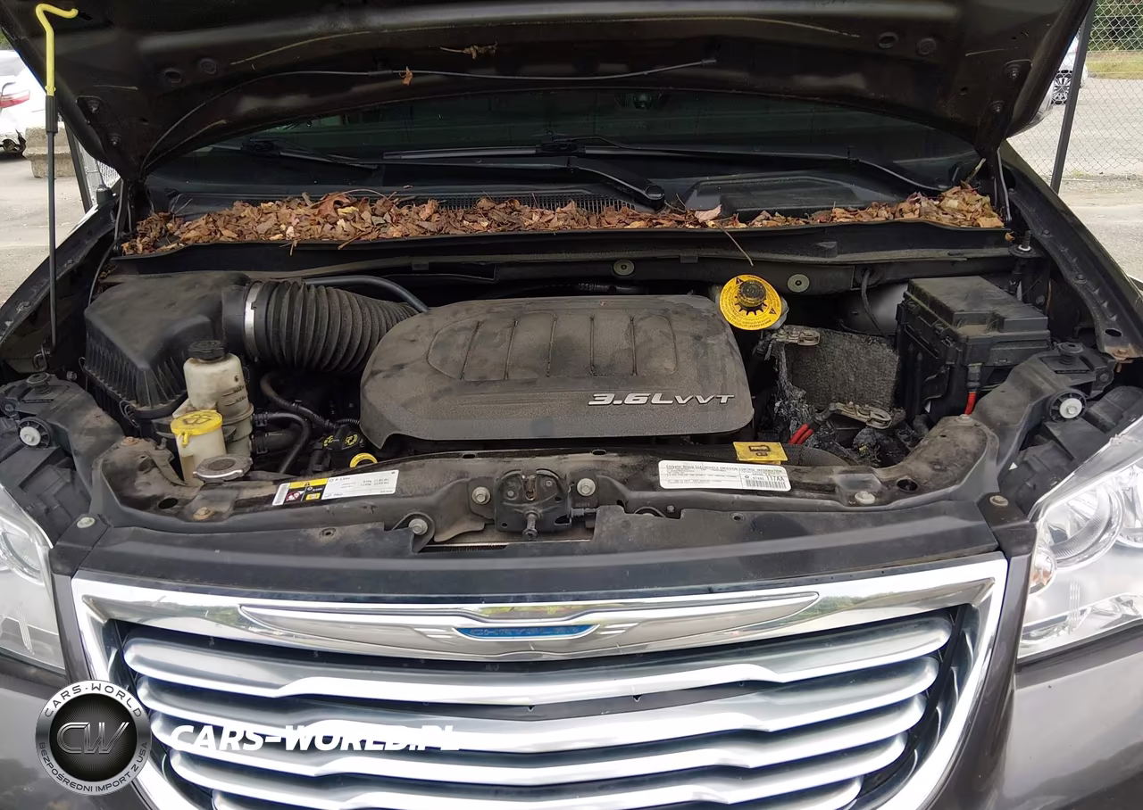2015 Chrysler Town & Country Touring-L VIN:2C4RC1CG9FR610006 - 10