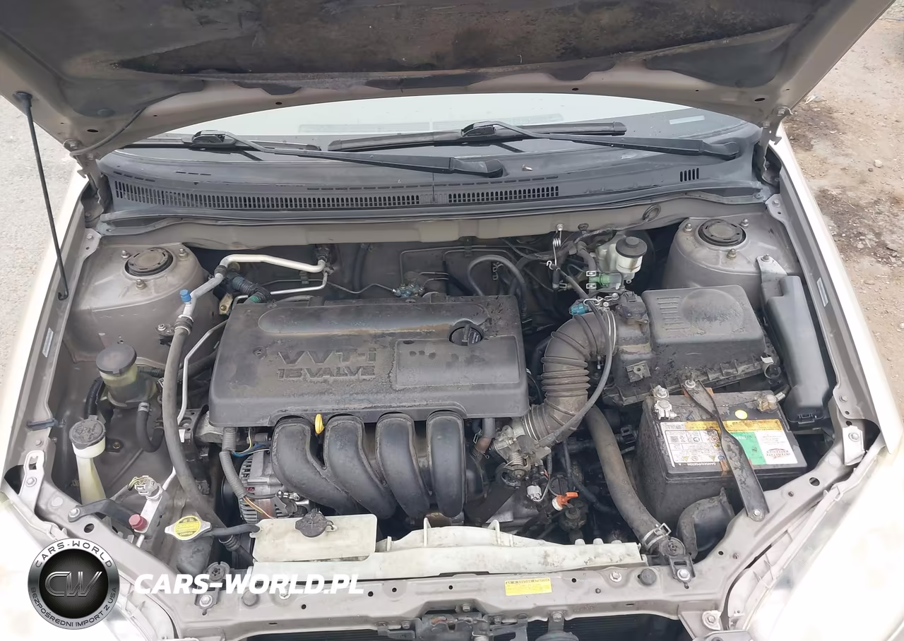 2004 Toyota Corolla Ce VIN:1NXBR32E44Z242079 - 10