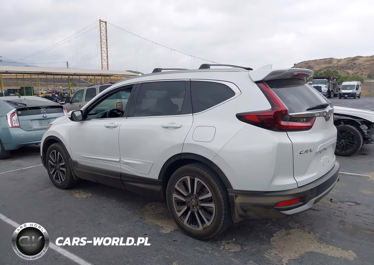 2020 Honda Cr-V 2Wd Ex-L VIN:5J6RW1H82LA007255 - 3