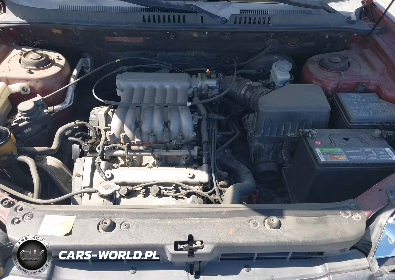2005 Hyundai Santa Fe Gls VIN:KM8SC13D65U931991 - 10