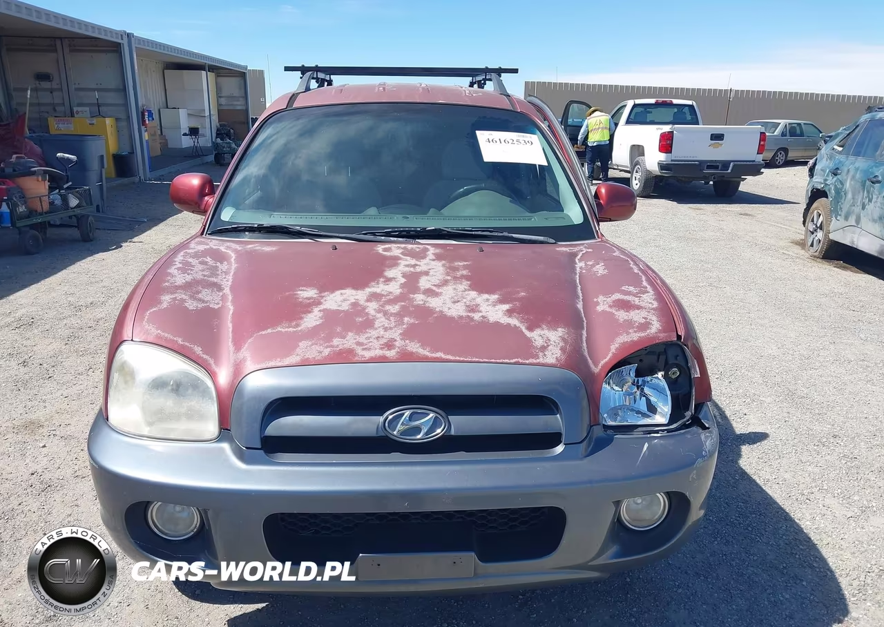 2005 Hyundai Santa Fe Gls VIN:KM8SC13D65U931991 - 12