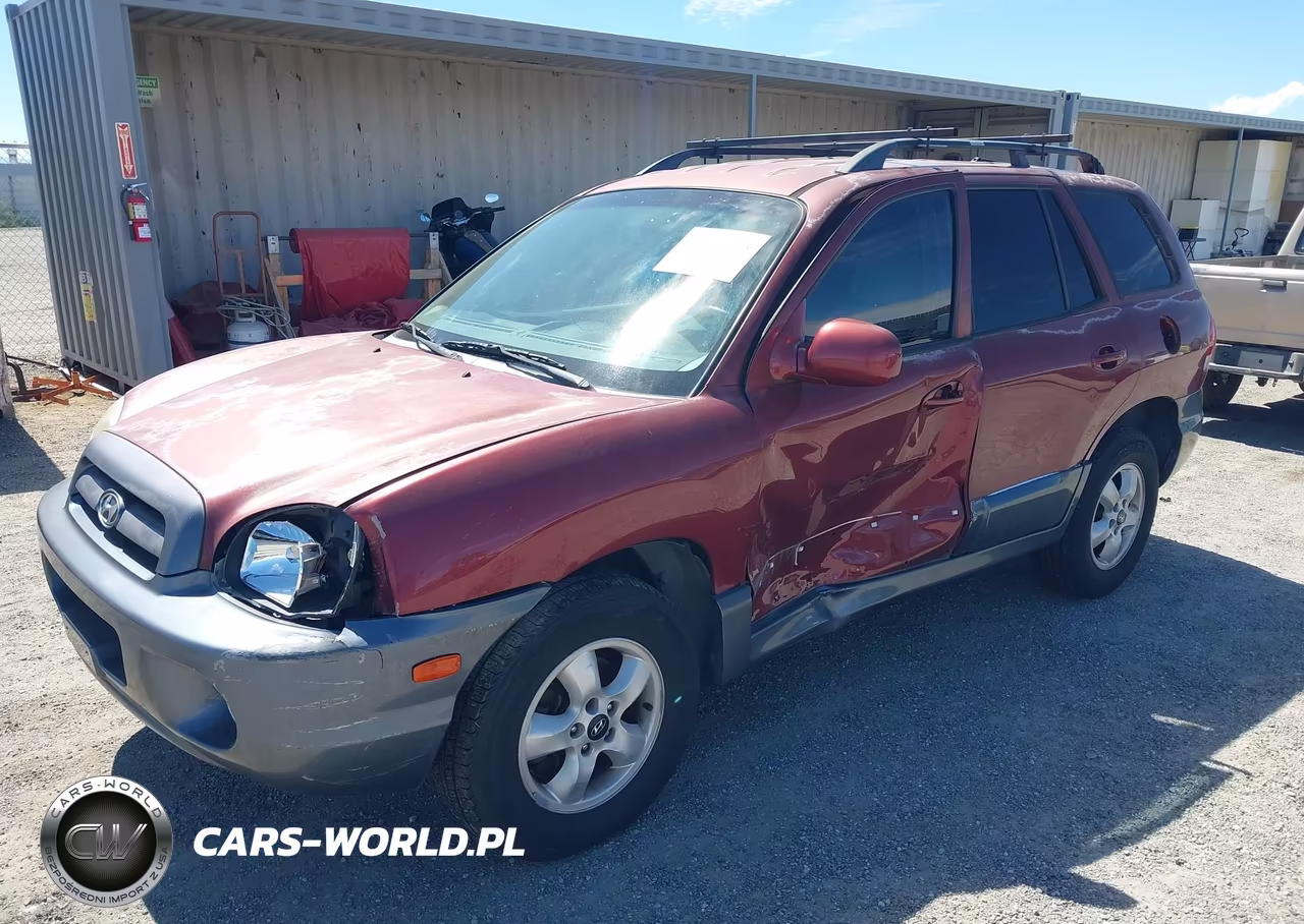 2005 Hyundai Santa Fe Gls VIN:KM8SC13D65U931991 - 2