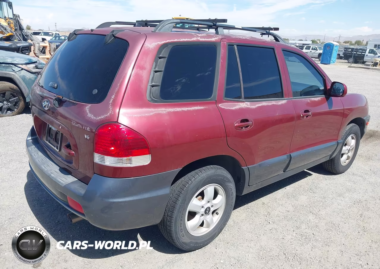 2005 Hyundai Santa Fe Gls VIN:KM8SC13D65U931991 - 4