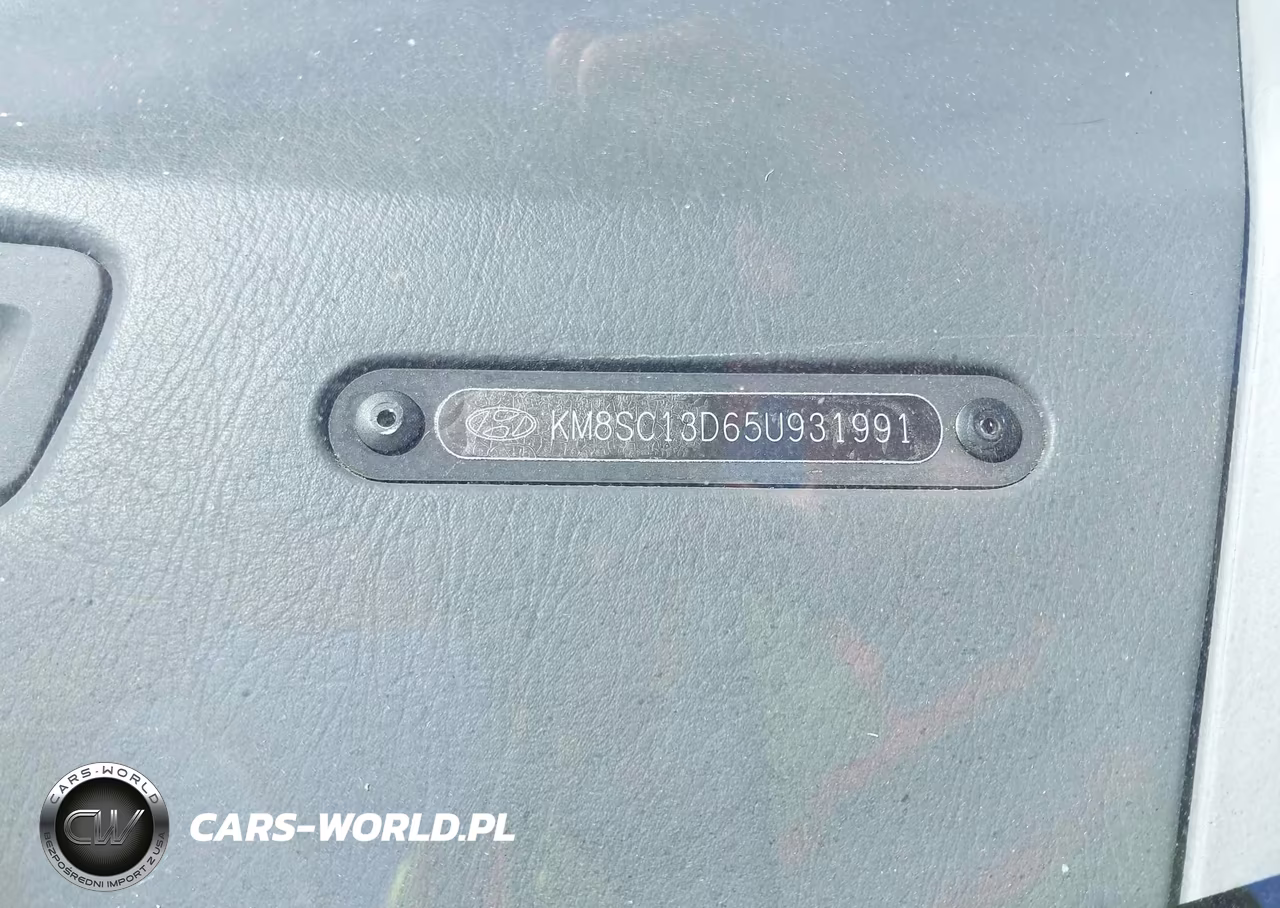 2005 Hyundai Santa Fe Gls VIN:KM8SC13D65U931991 - 9