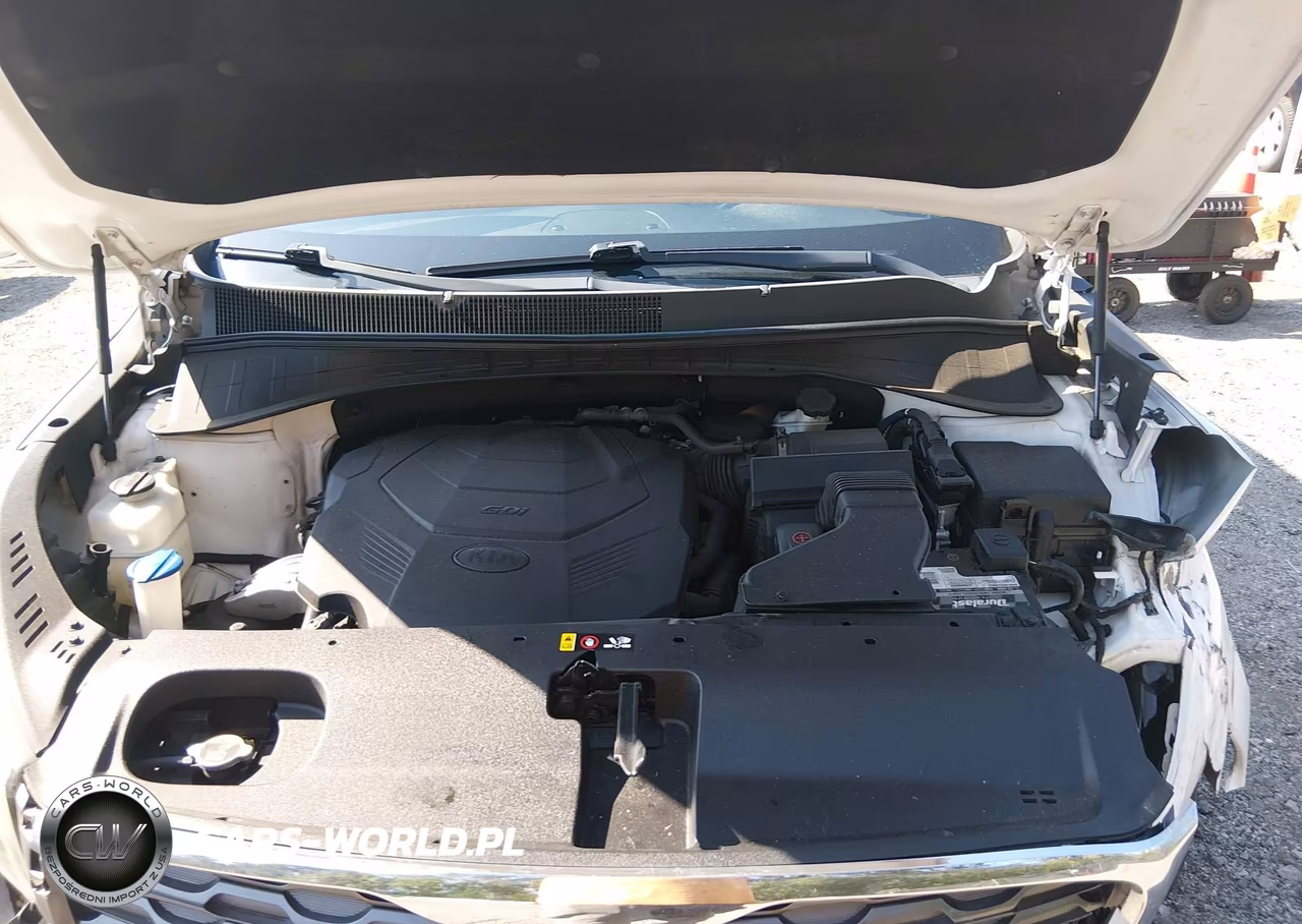 2019 Kia Sorento 3.3L Ex VIN:5XYPH4A59KG465219 - 10