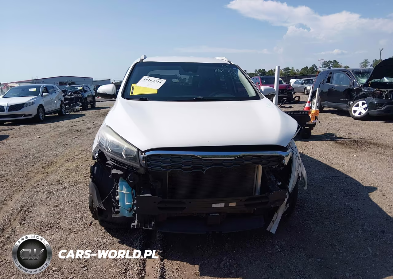 2019 Kia Sorento 3.3L Ex VIN:5XYPH4A59KG465219 - 13
