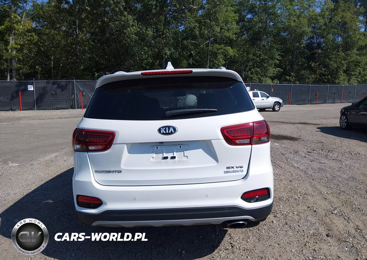 2019 Kia Sorento 3.3L Ex VIN:5XYPH4A59KG465219 - 17