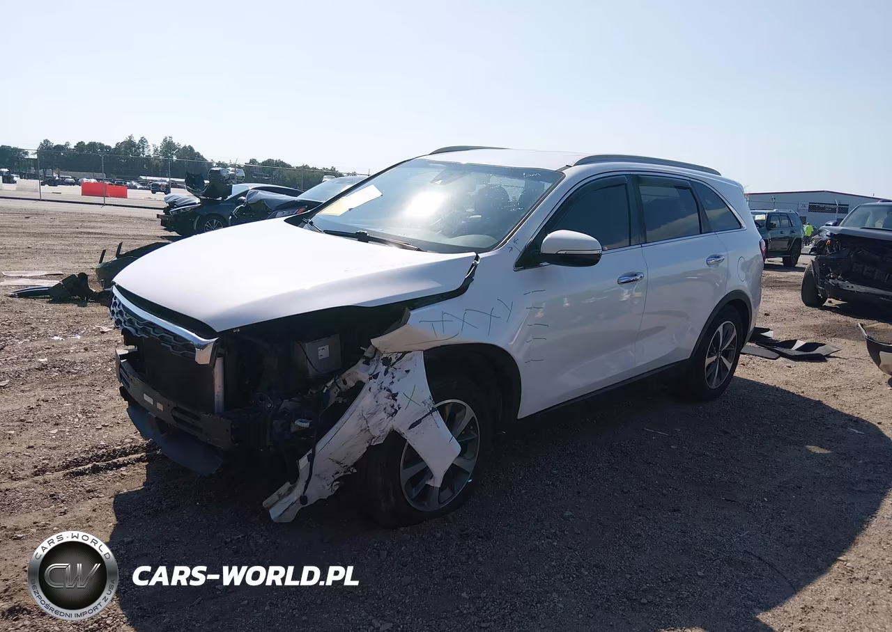 2019 Kia Sorento 3.3L Ex VIN:5XYPH4A59KG465219 - 2