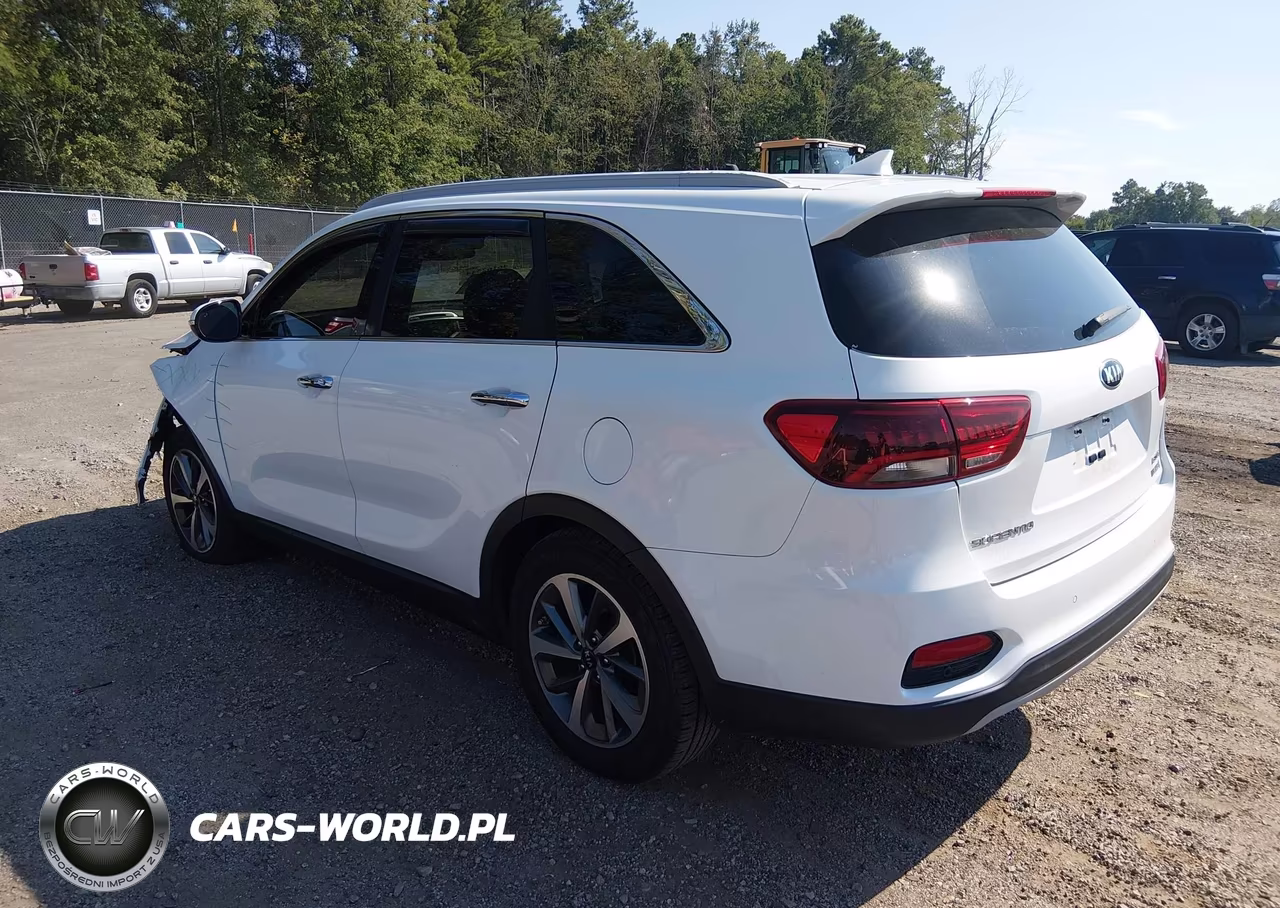 2019 Kia Sorento 3.3L Ex VIN:5XYPH4A59KG465219 - 3