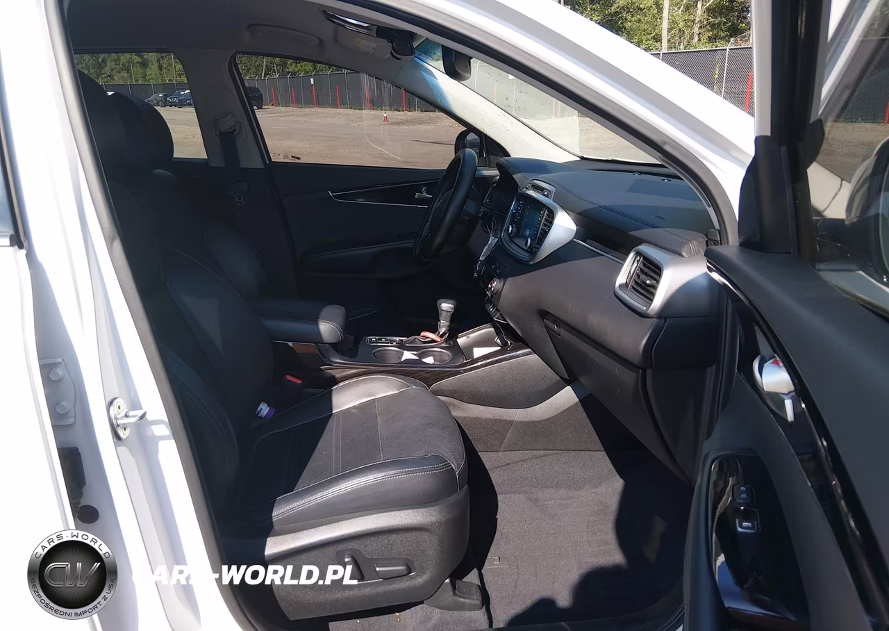 2019 Kia Sorento 3.3L Ex VIN:5XYPH4A59KG465219 - 5