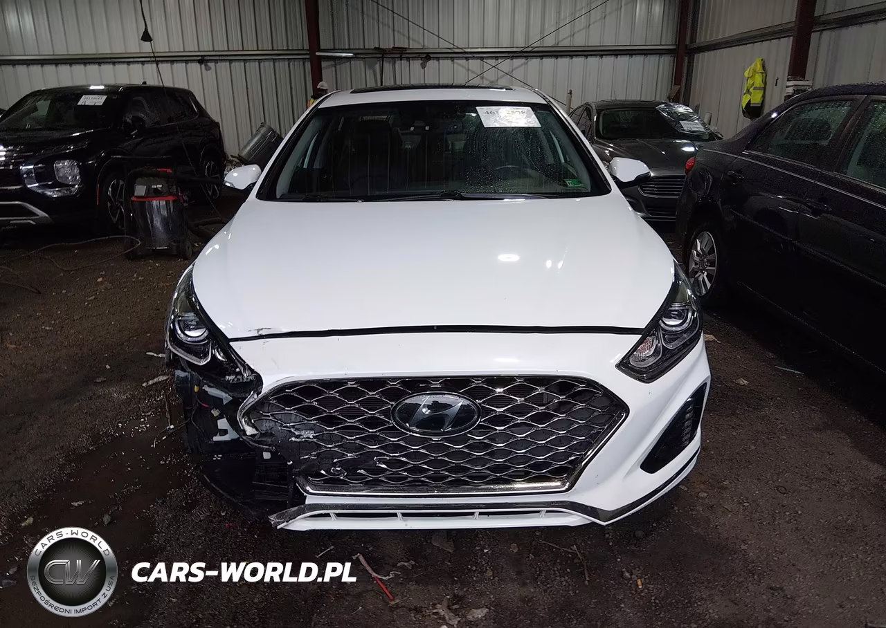 2019 Hyundai Sonata Limited VIN:5NPE34AF2KH805155 - 12