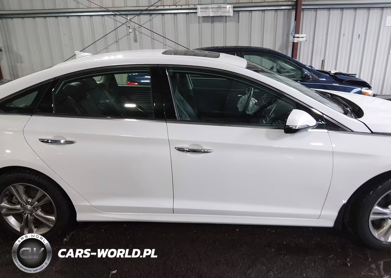 2019 Hyundai Sonata Limited VIN:5NPE34AF2KH805155 - 13