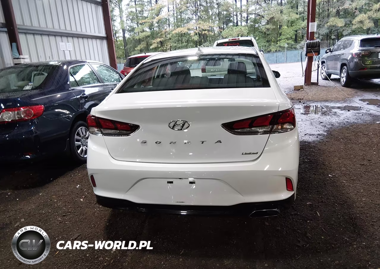 2019 Hyundai Sonata Limited VIN:5NPE34AF2KH805155 - 16