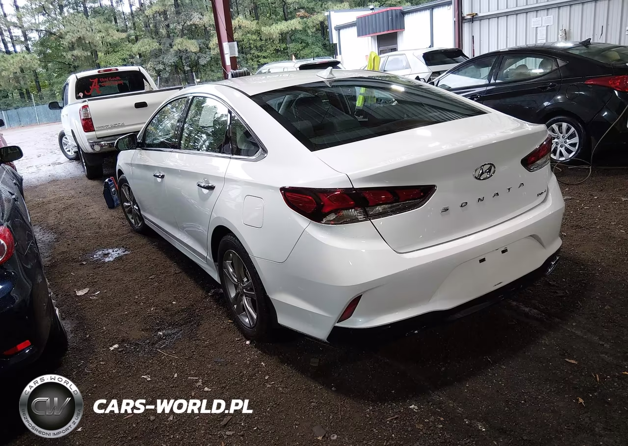 2019 Hyundai Sonata Limited VIN:5NPE34AF2KH805155 - 3
