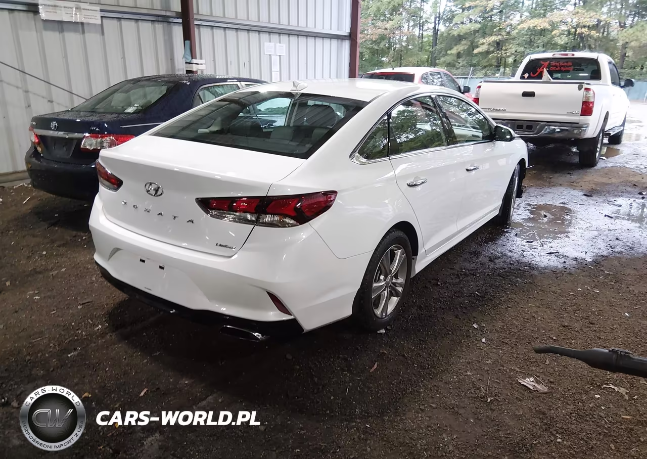 2019 Hyundai Sonata Limited VIN:5NPE34AF2KH805155 - 4