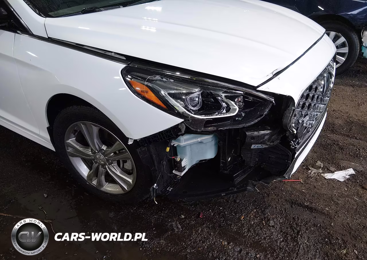 2019 Hyundai Sonata Limited VIN:5NPE34AF2KH805155 - 6