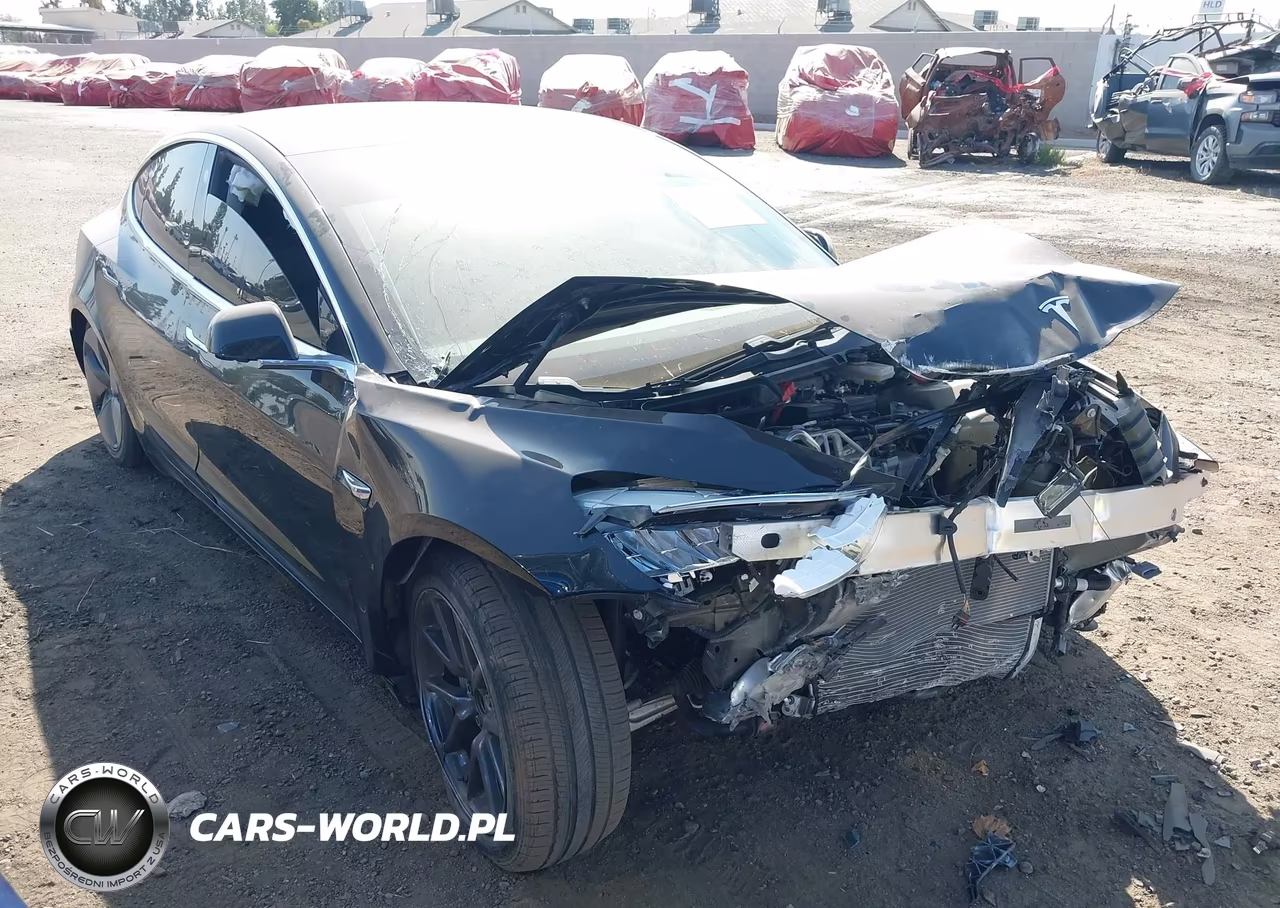 2019 Tesla Model 3 Long Range-Mid Range-Standard Range-Standard Range Plus VIN:5YJ3E1EA7KF305795 - 1