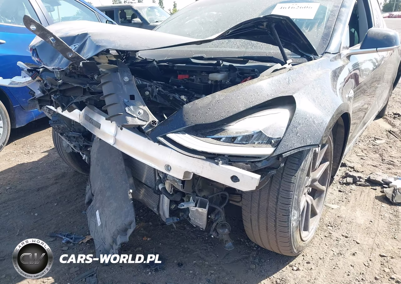 2019 Tesla Model 3 Long Range-Mid Range-Standard Range-Standard Range Plus VIN:5YJ3E1EA7KF305795 - 13