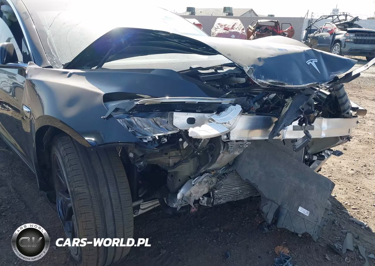 2019 Tesla Model 3 Long Range-Mid Range-Standard Range-Standard Range Plus VIN:5YJ3E1EA7KF305795 - 14