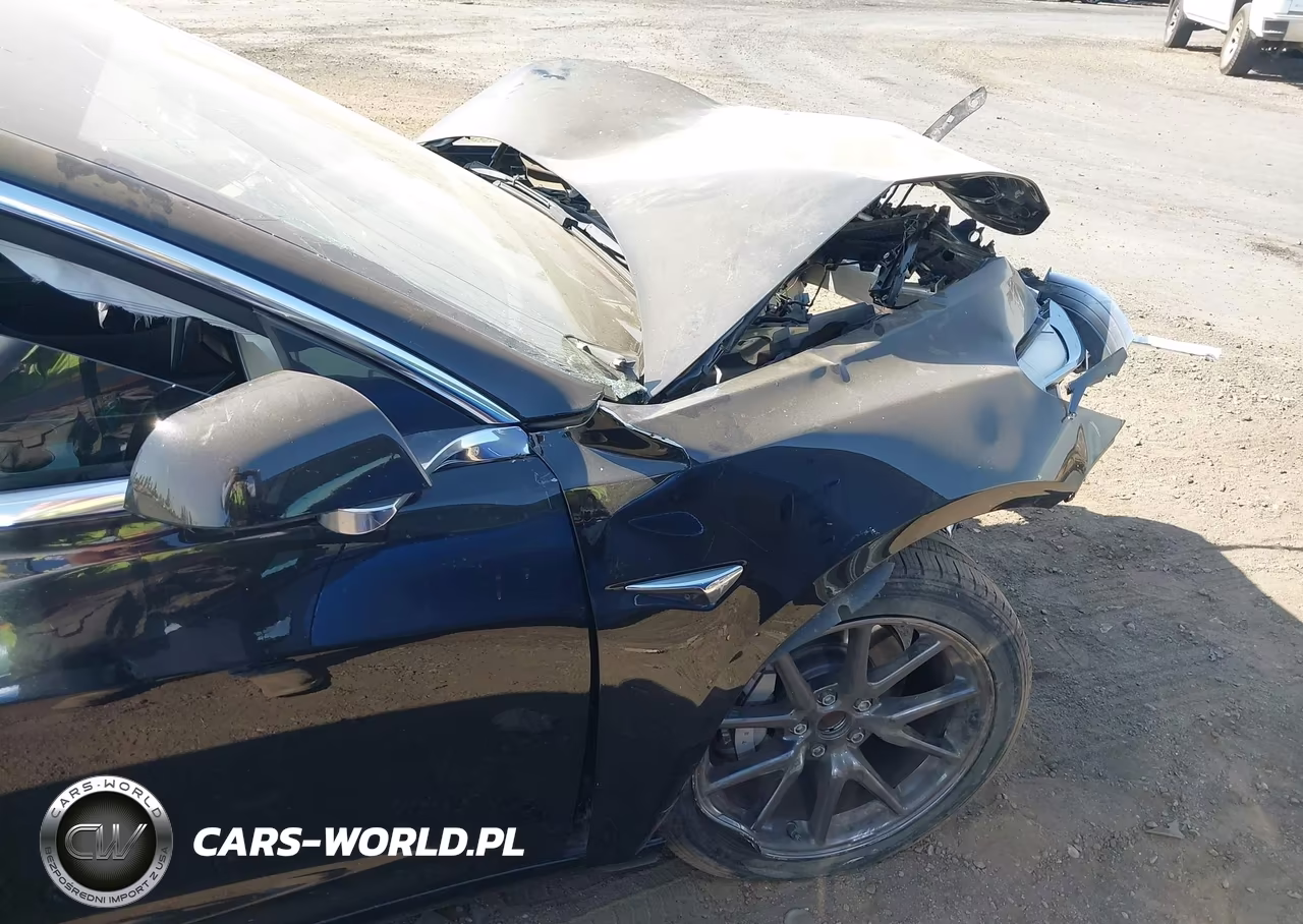 2019 Tesla Model 3 Long Range-Mid Range-Standard Range-Standard Range Plus VIN:5YJ3E1EA7KF305795 - 15