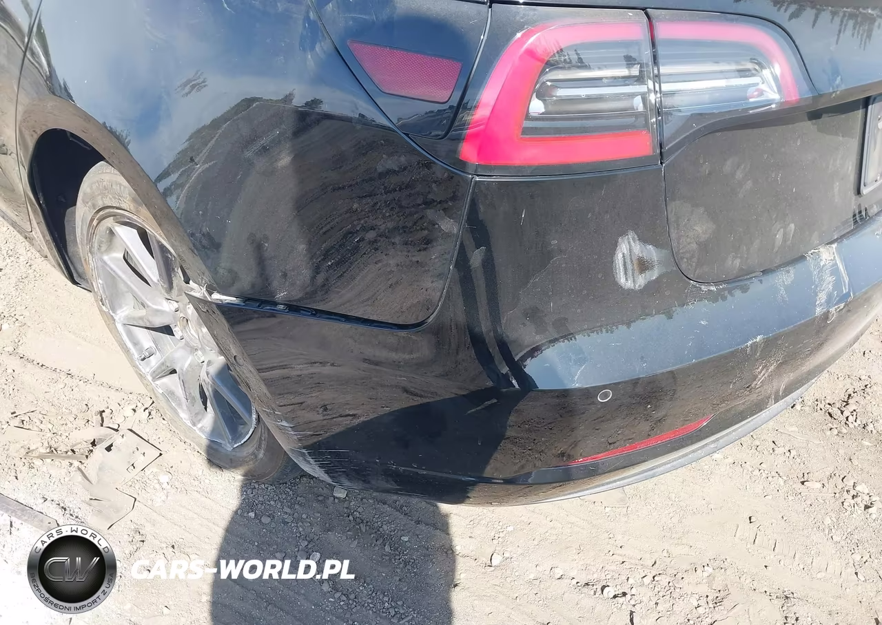 2019 Tesla Model 3 Long Range-Mid Range-Standard Range-Standard Range Plus VIN:5YJ3E1EA7KF305795 - 17