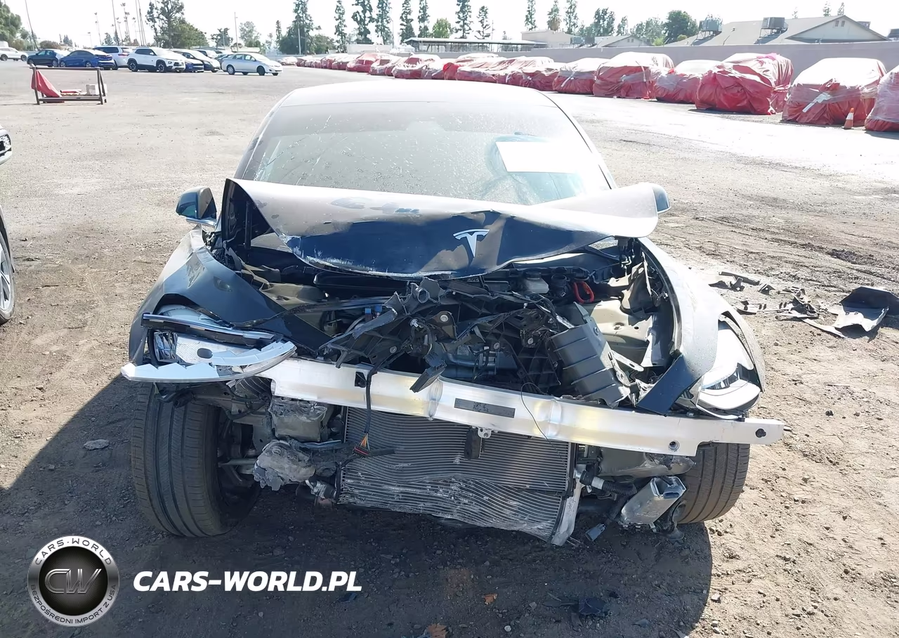 2019 Tesla Model 3 Long Range-Mid Range-Standard Range-Standard Range Plus VIN:5YJ3E1EA7KF305795 - 18
