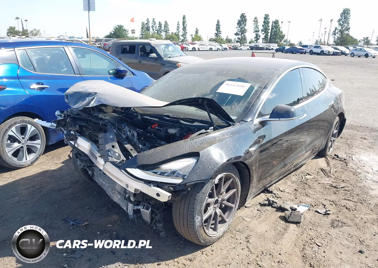 2019 Tesla Model 3 Long Range-Mid Range-Standard Range-Standard Range Plus VIN:5YJ3E1EA7KF305795 - 2