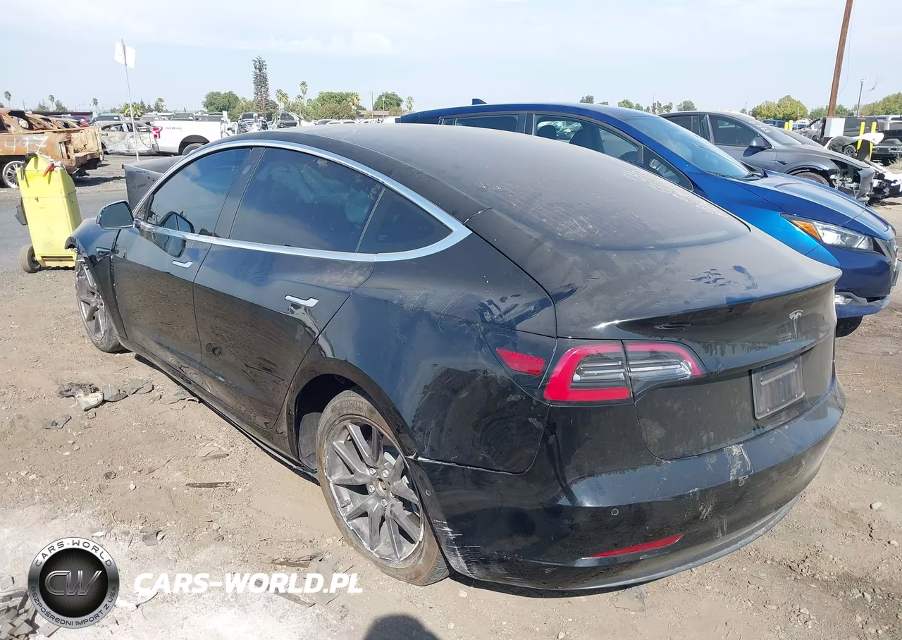 2019 Tesla Model 3 Long Range-Mid Range-Standard Range-Standard Range Plus VIN:5YJ3E1EA7KF305795 - 3