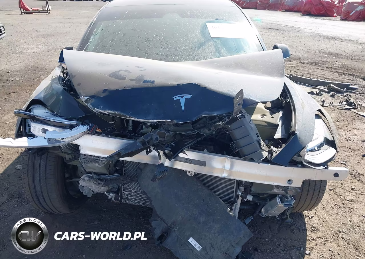 2019 Tesla Model 3 Long Range-Mid Range-Standard Range-Standard Range Plus VIN:5YJ3E1EA7KF305795 - 6