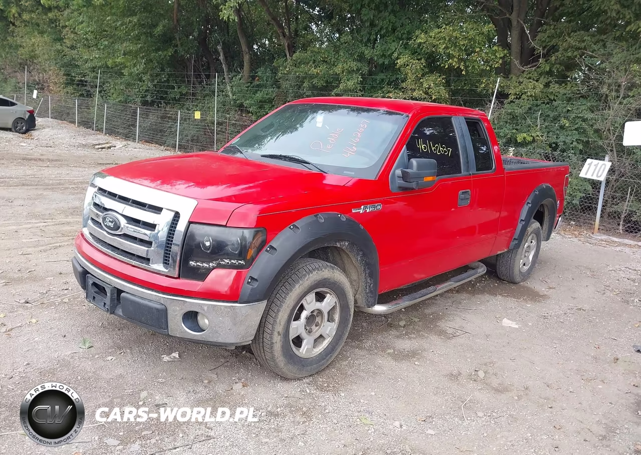 2009 Ford F-150 Stx-Xl-Xlt VIN:1FTRX12829FB20212 - 2