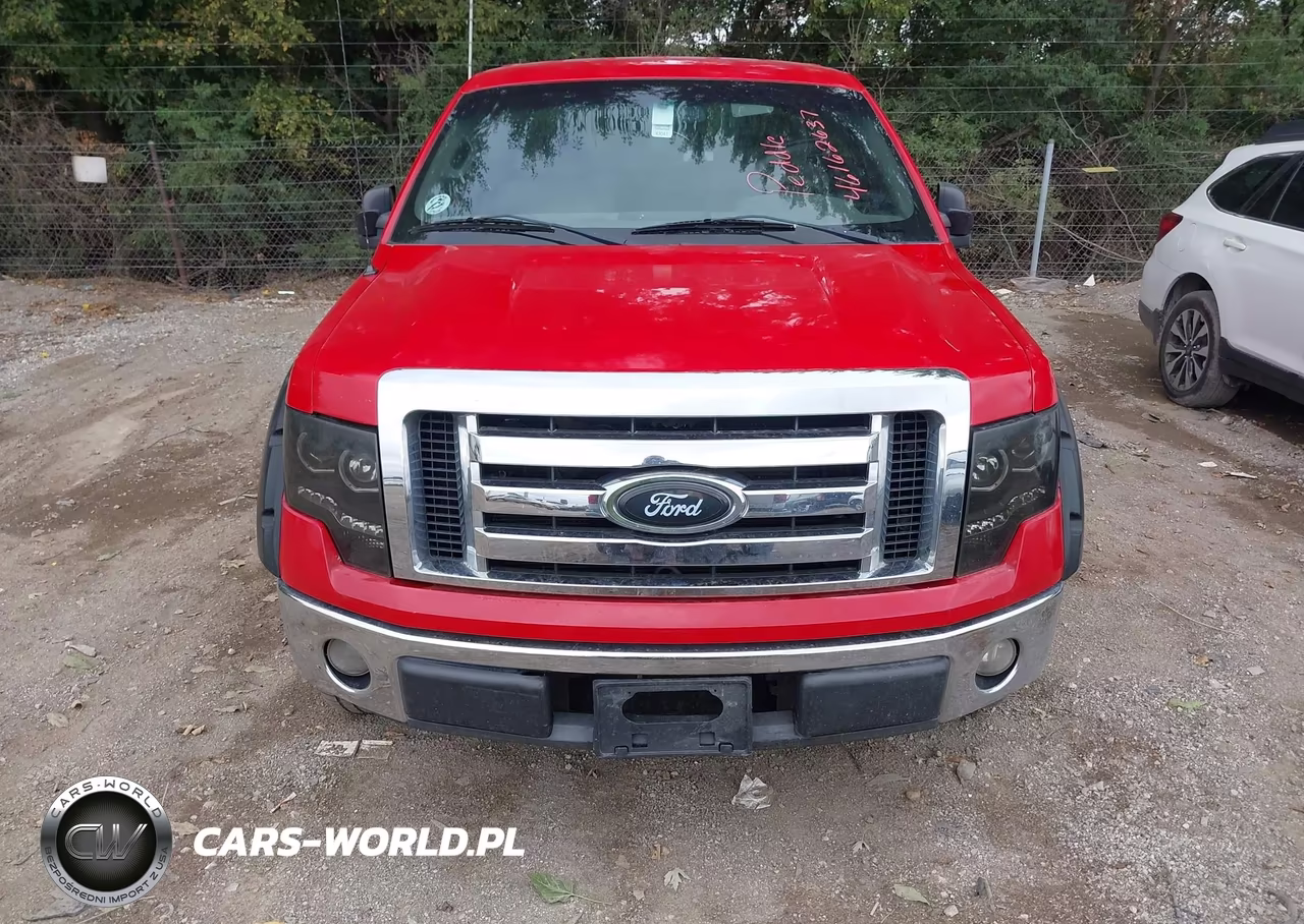 2009 Ford F-150 Stx-Xl-Xlt VIN:1FTRX12829FB20212 - 6