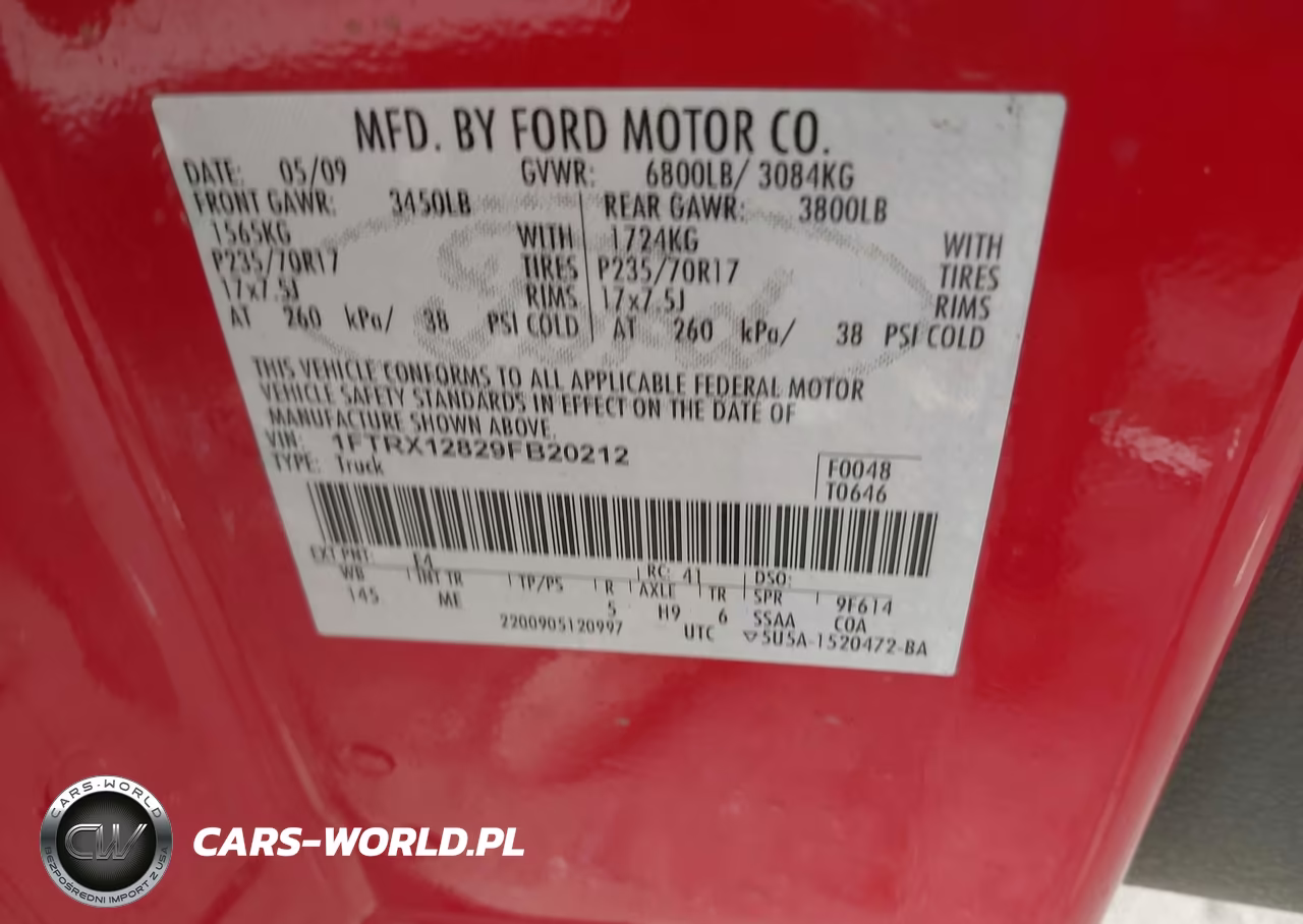 2009 Ford F-150 Stx-Xl-Xlt VIN:1FTRX12829FB20212 - 9