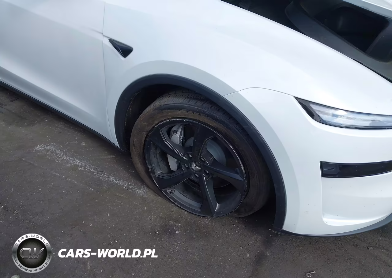 2026 Tesla Model Y All-Wheel Drive-Long Range Launch Series-Premium All-Wheel Drive VIN:7SAYGDEE0TF462965 - 11