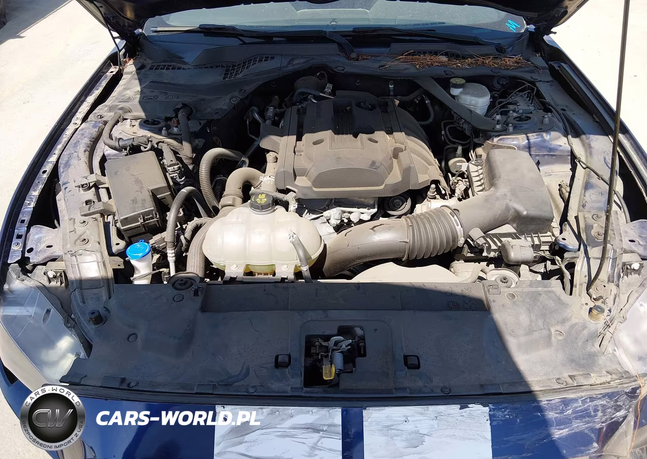 2020 Ford Mustang Ecoboost Premium VIN:1FATP8UHXL5131764 - 10
