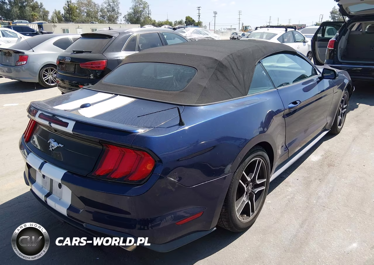 2020 Ford Mustang Ecoboost Premium VIN:1FATP8UHXL5131764 - 4
