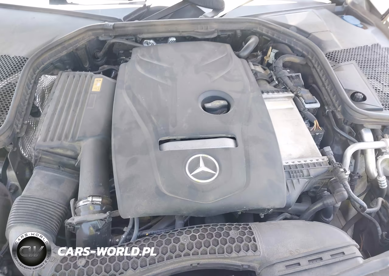 2018 Mercedes-Benz C 300 VIN:55SWF4JB2JU248882 - 10