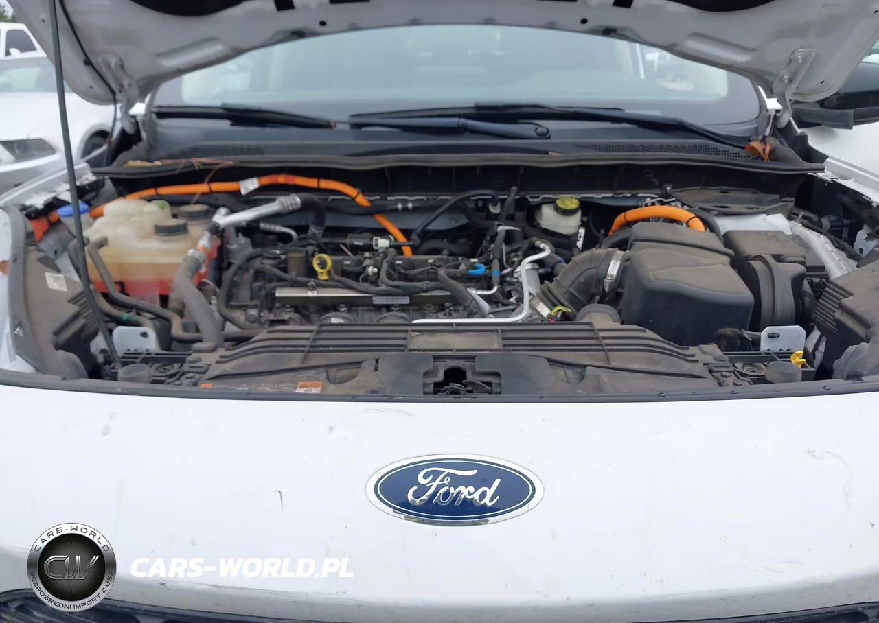2020 Ford Escape Se Sport Hybrid VIN:1FMCU9BZ0LUA80393 - 10