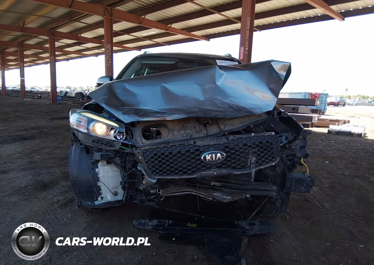 2016 Kia Sorento 2.4L Lx VIN:5XYPG4A31GG144896 - 13